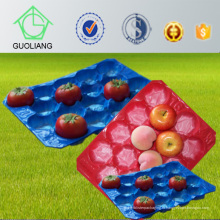 Производитель Китай Термоформованные блистер перфорированные вставки лоток для свежих фруктов упаковки промышленного использования 